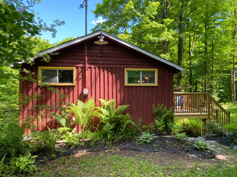 Façade d’une maison de plain-pied en bois rouge entourée de fougères et d’arbres matures